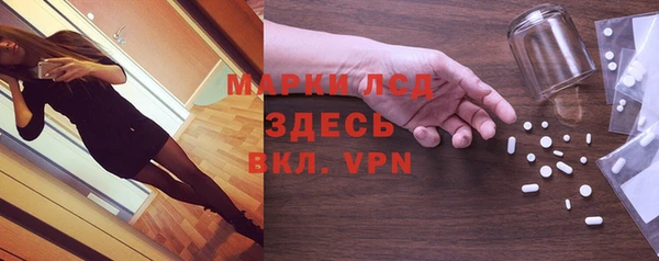 трава Новозыбков