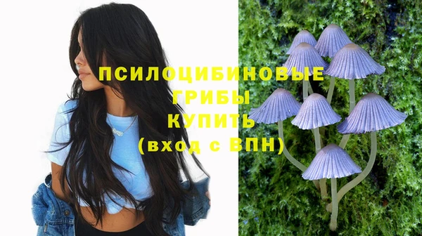 трава Новозыбков