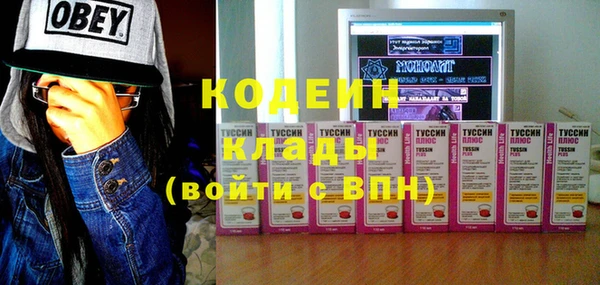 трава Новозыбков