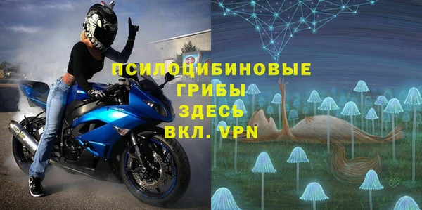 трава Новозыбков