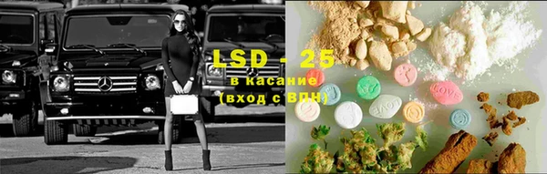 трава Новозыбков