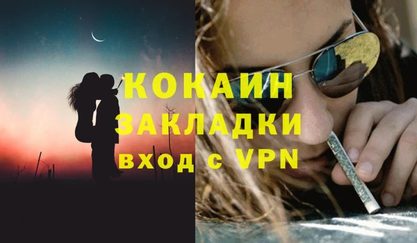 трава Новозыбков