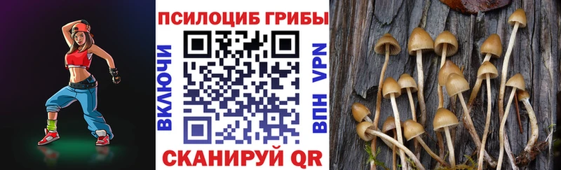 Псилоцибиновые грибы мухоморы  Ясный 