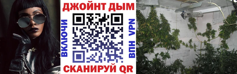 omg вход Ясный Бошки Шишки план